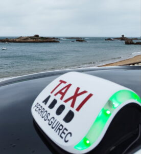 TAXIS PERROS GUIREC